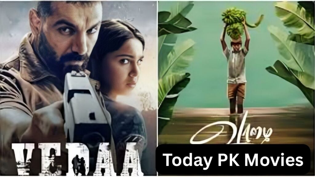 Today PK Movies