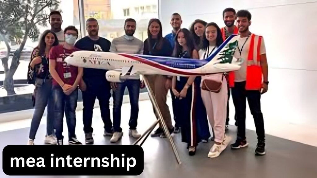 MEA Internship